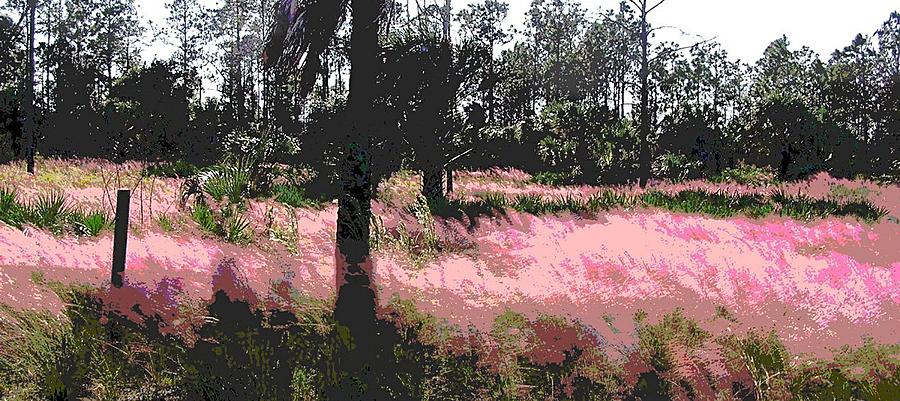 Red Fire Grass Field Gulf Coast Florida Painting by G Linsenmayer
