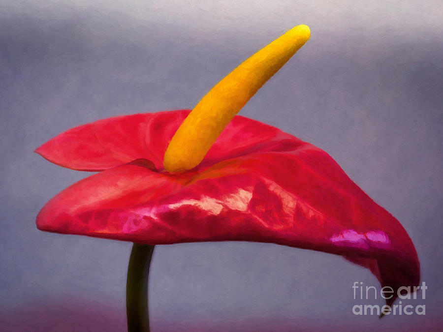 Red Flamingo Painting by Lutz Baar