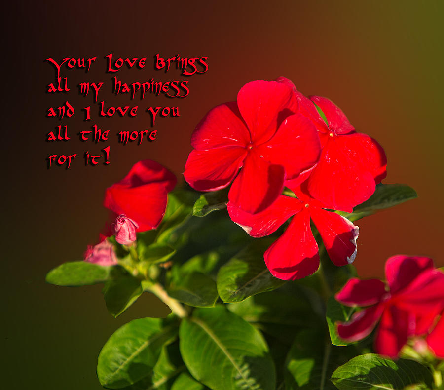 Red Floral with Text Photograph by Linda Phelps