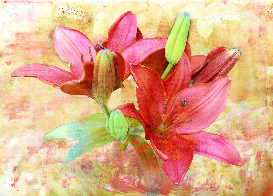 Red Flower 3 Digital Art by Helene U Taylor