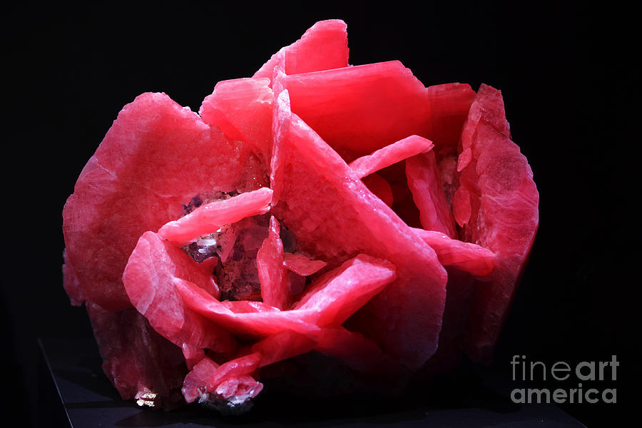Red Flower like Rhodochrsite Crystals Photograph by Shawn OBrien