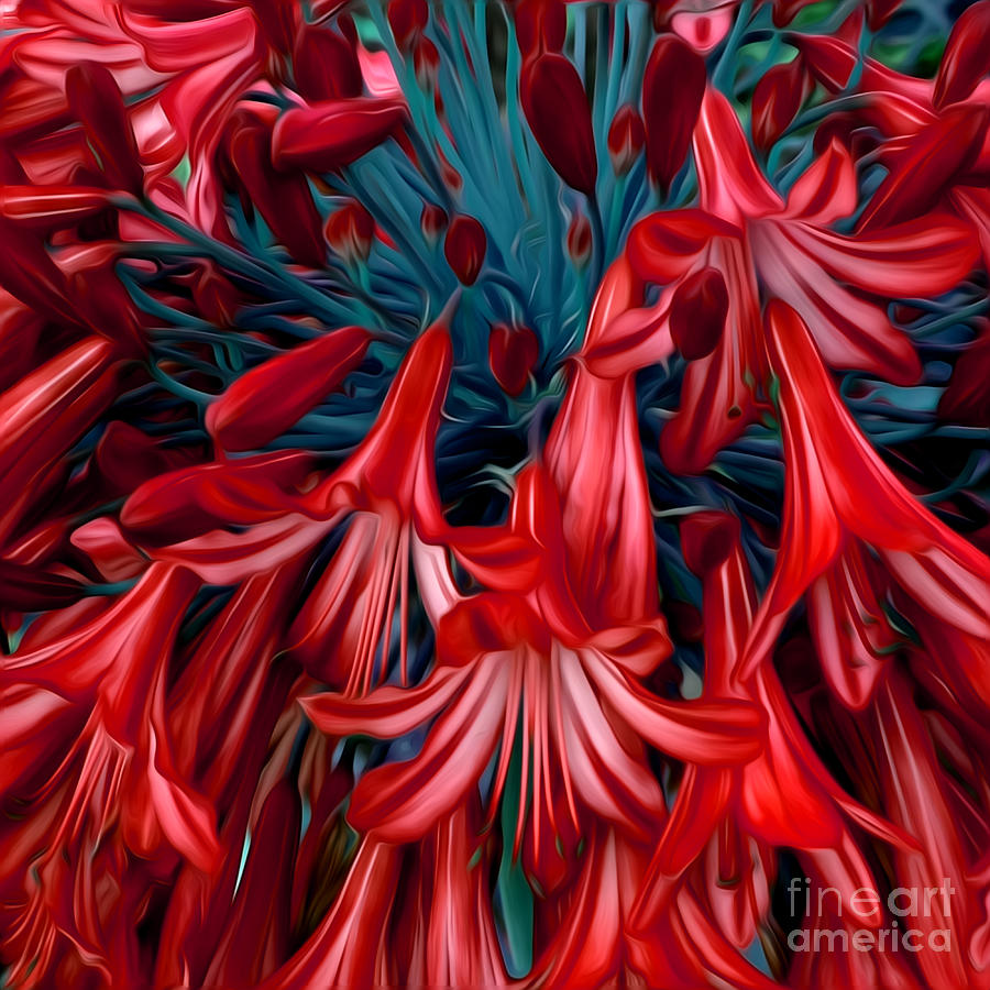 Flower Digital Art - Red Flowers by Phill Petrovic