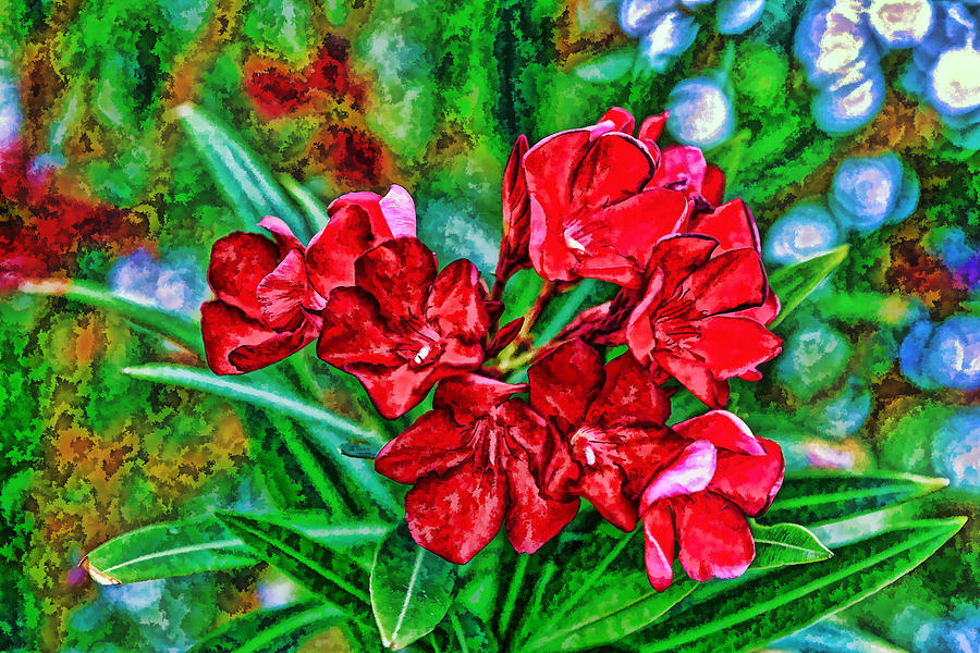 Red Flowers Photograph by Sennie Pierson