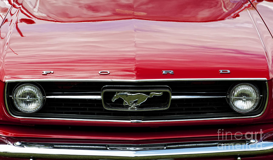 Car Photograph - Red Ford Mustang by Tim Gainey