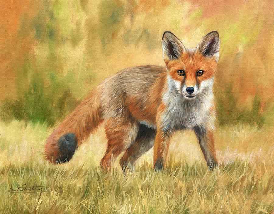 Red Fox Painting by David Stribbling