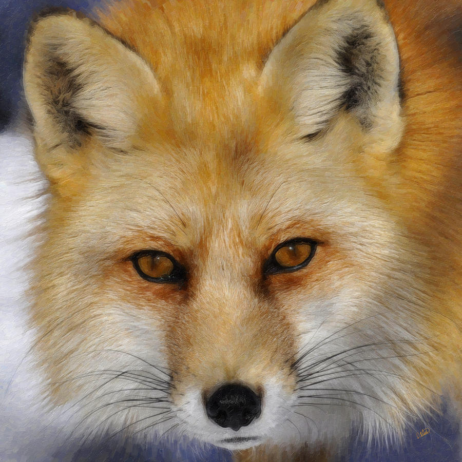 Wildlife Painting - Red Fox by Dean Wittle