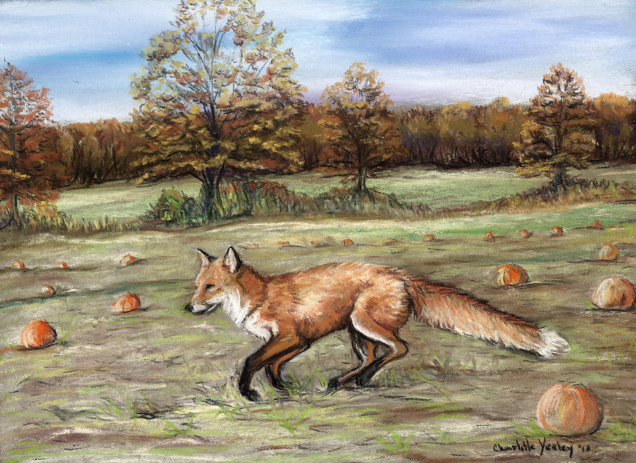 Red Fox in Pumpkin Patch Painting by Charlotte Yealey
