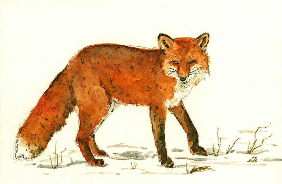 Wildlife Painting - Red Fox in the snow by Juan  Bosco