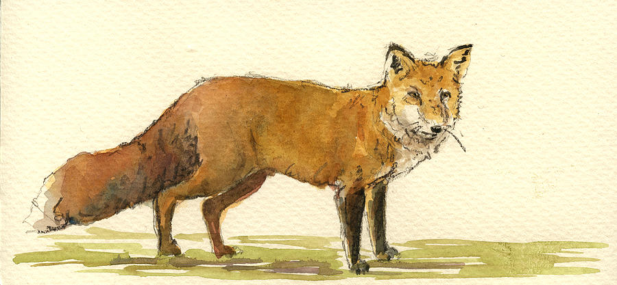 Wildlife Painting - Red fox by Juan  Bosco