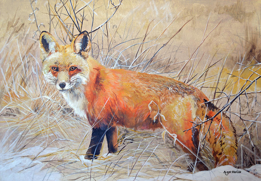 Red Fox- One Last Look Painting by Alvin Hepler - Fine Art America