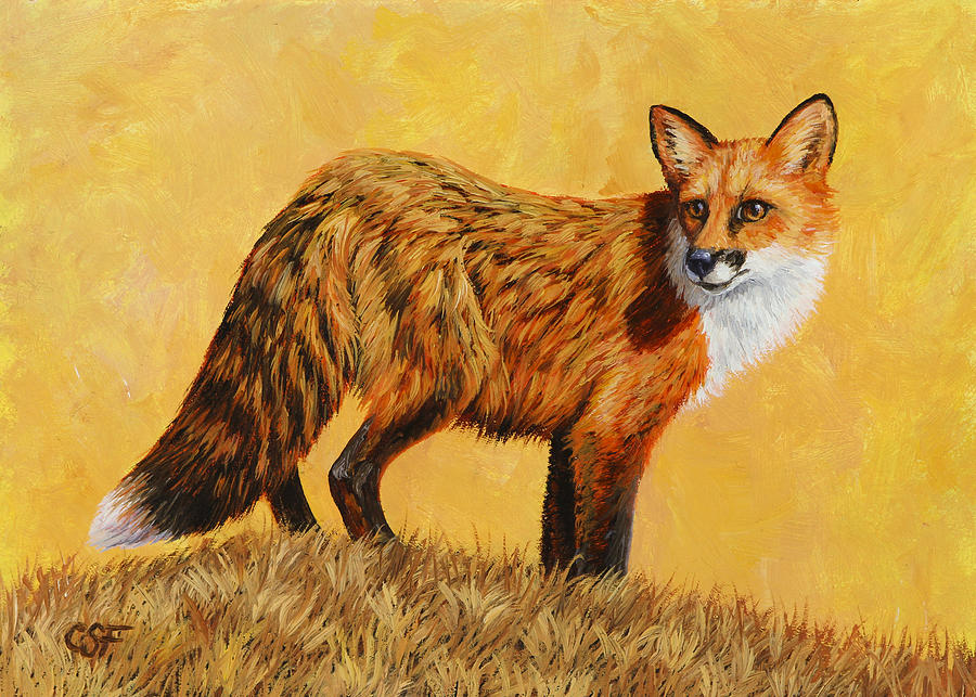 Fox Painting - Red Fox Painting - Looking Back by Crista Forest