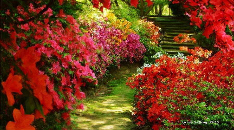 Red Garden Walkway Painting by Bruce Nutting
