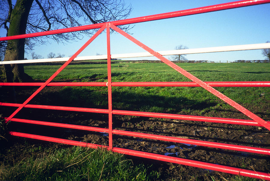 Red Gate Photograph by Gordon James