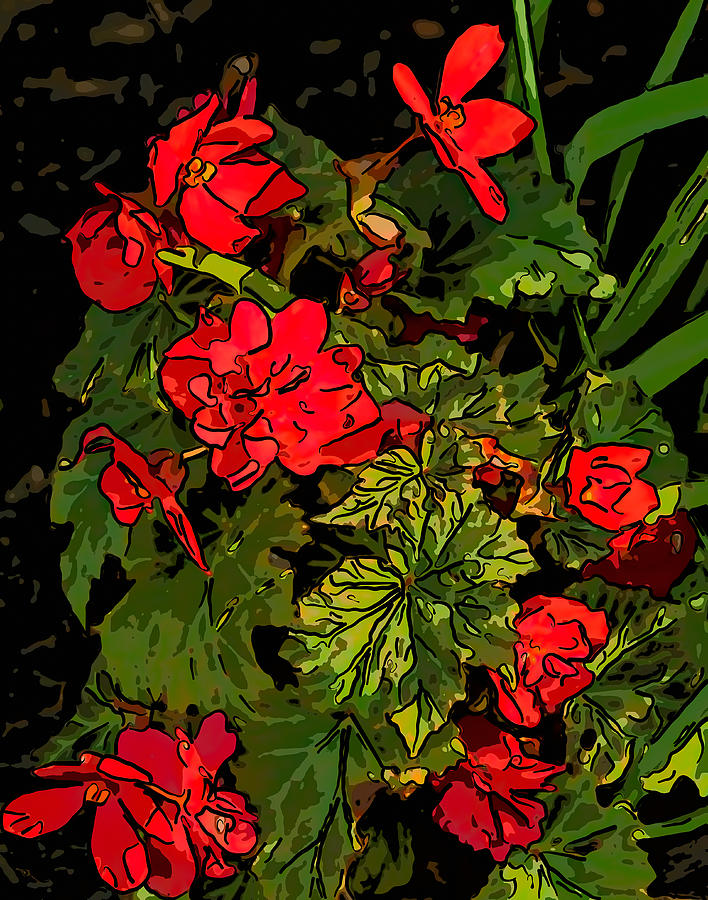 Summer Photograph - Red Geranium line art by Steve Harrington