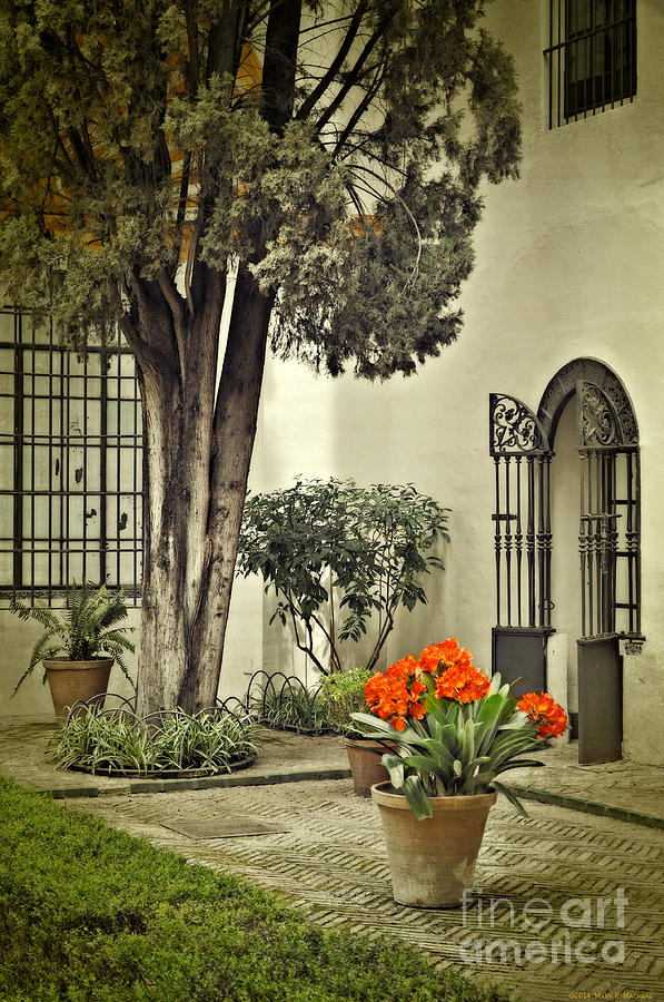 Red Geraniums in the Courtyard Photograph by Mary Machare