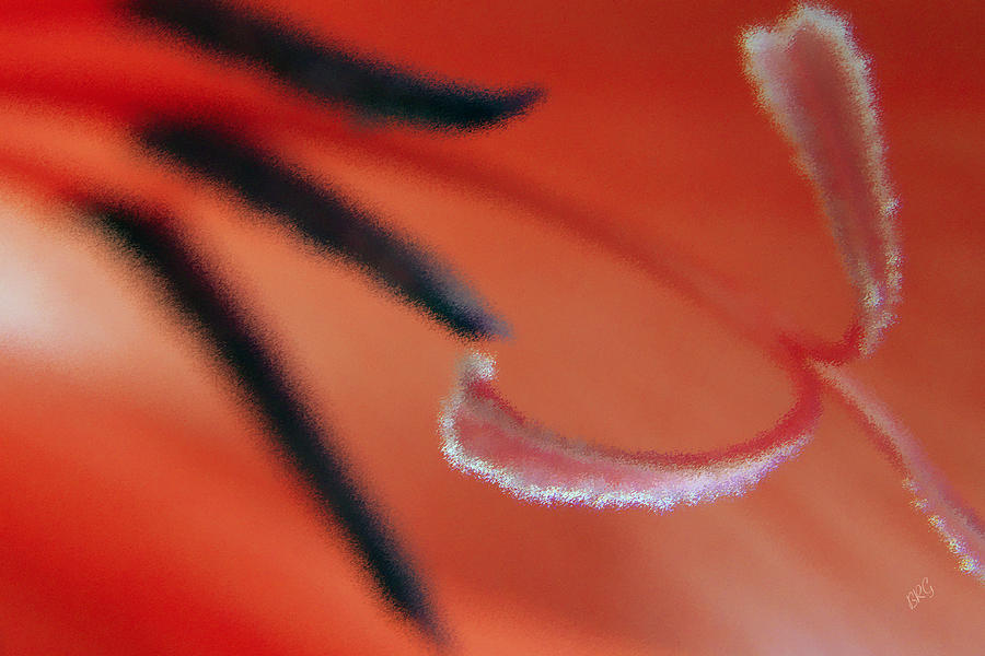Red Gladiolus Abstract Photograph by Ben and Raisa Gertsberg