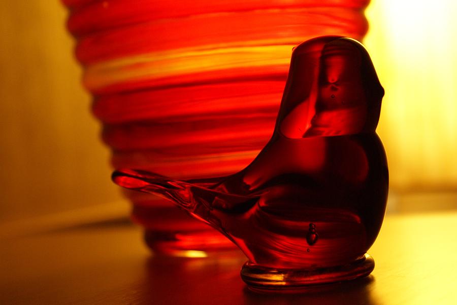 Red Glass Vase And Bird Photograph by Gregory Smith Fine Art America