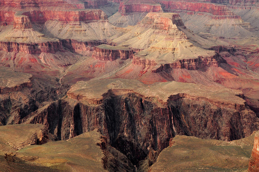 Red Grand Canyon Photograph by This Image Is Property Of Picardo