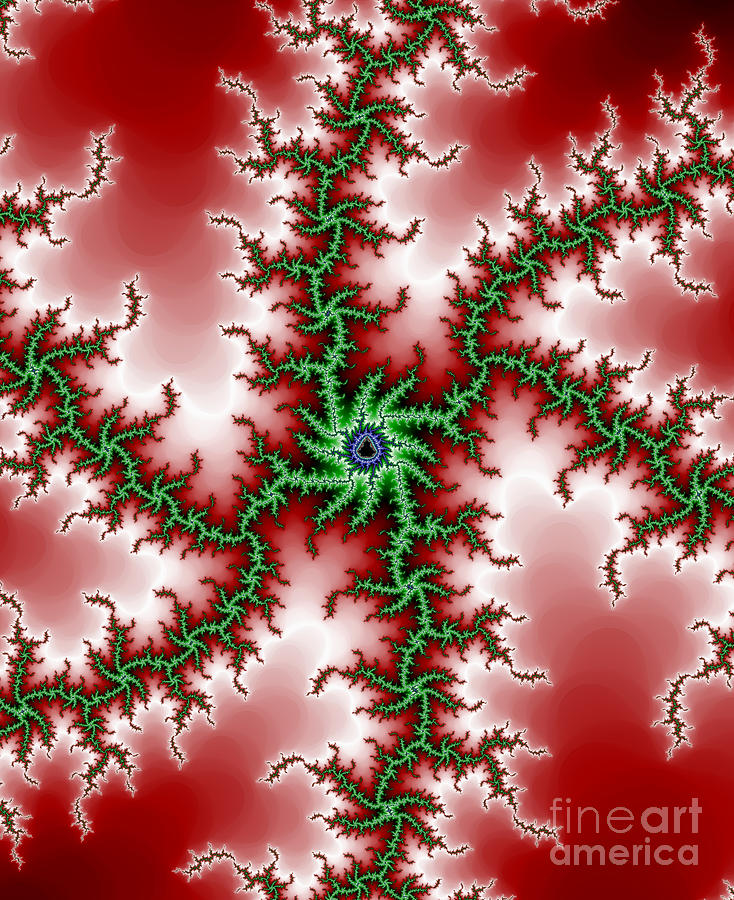 Red Green Mandelbrot Digital Art by Robert E Alter Reflections of Infinity
