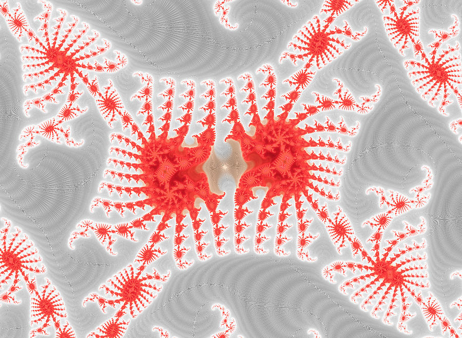 Abstract Digital Art - Red grey and white fractal art by Matthias Hauser