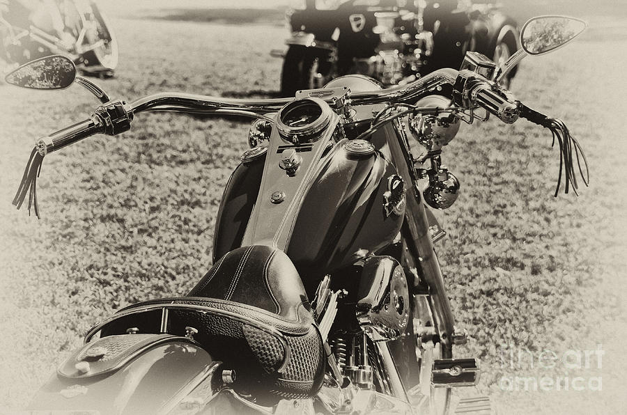 Red Harley Davidson Photograph by Wilma  Birdwell