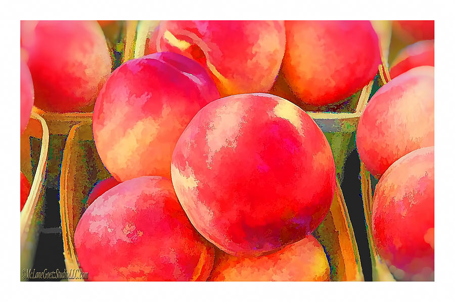 Red Haven Peaches Oil Paint Photograph by LeeAnn McLaneGoetz McLaneGoetzStudioLLCcom