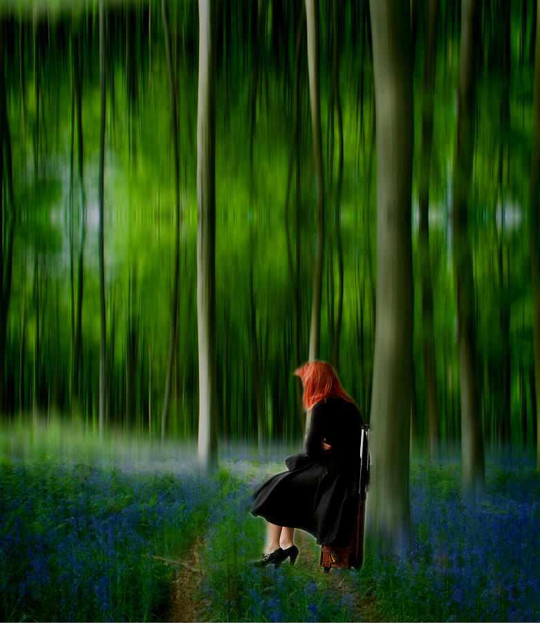 Red Head in Blue Bell wood  Art Digital art Photograph by David French