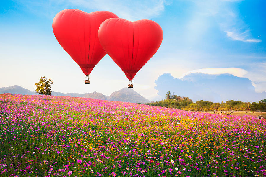 Red heart air balloon over on Beautiful Cosmos Flower in park Photograph by Busakorn Pongparnit