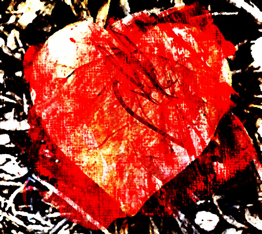Red Heart Digital Art by Andrea Barbieri