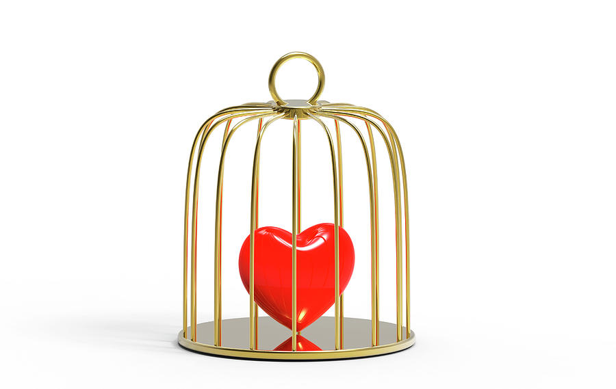 Valentines Day Photograph - Red Heart Inside A Bird Cage by Wladimir Bulgar