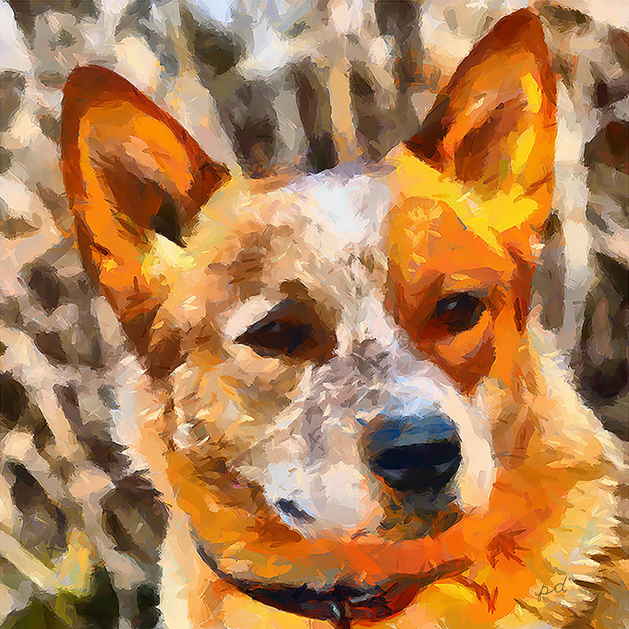 Red Heeler Painting by Doggy Lips