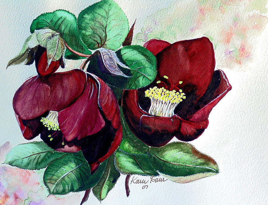 Red Helleborous Painting by Karin Dawn Kelshall- Best Red Helleborous Painting by Karin Dawn Kelshall- Best