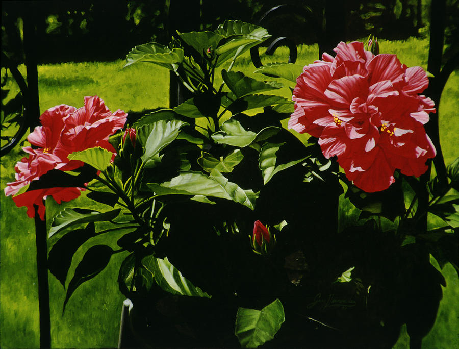 Flower Painting - Red Hibiscus by Gary  Hernandez