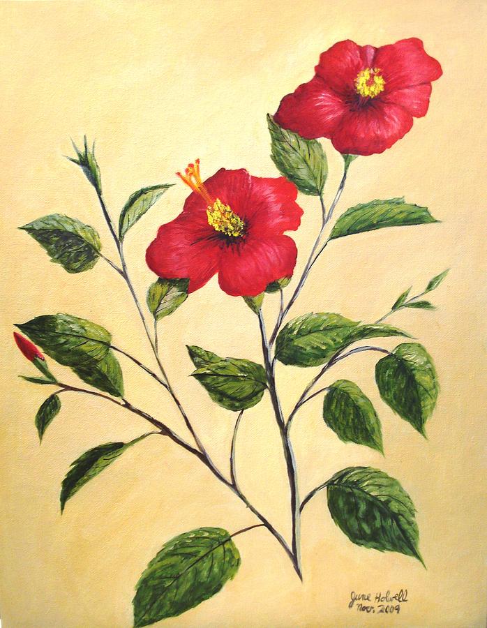 Flower Painting - Red Hibiscus by June Holwell