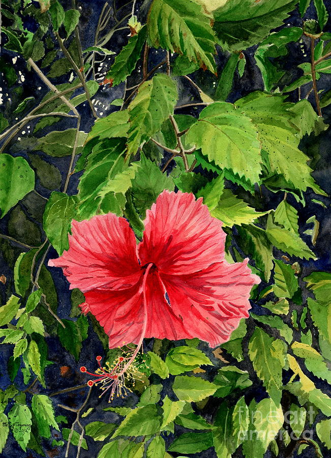Red Hibiscus  Painting by Melly Terpening