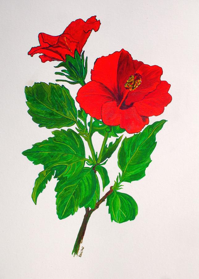 Red Hibiscus Painting by Taiche Acrylic Art