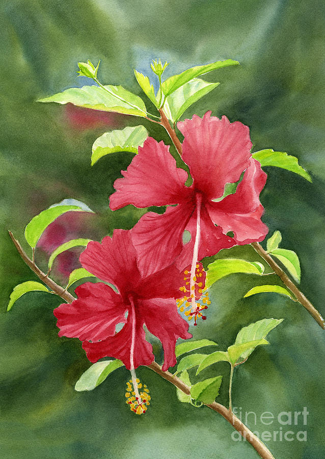 Flower Painting - Red Hibiscus with Background by Sharon Freeman