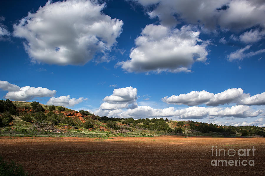 Red Hills   Blue Sky Photograph by Jim McCain