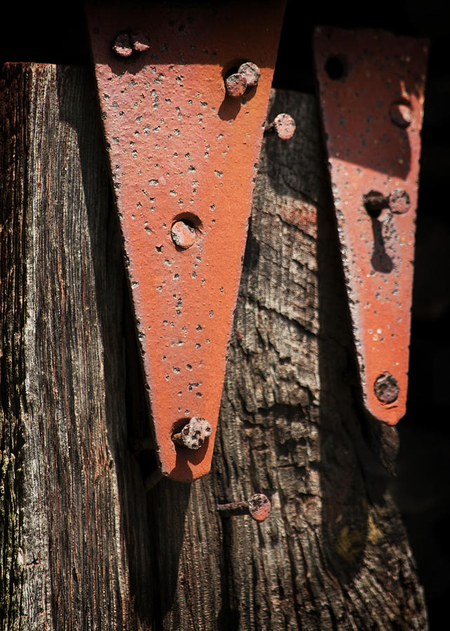 Red Hinges on Weathered Wood Photograph by Rebecca Sherman