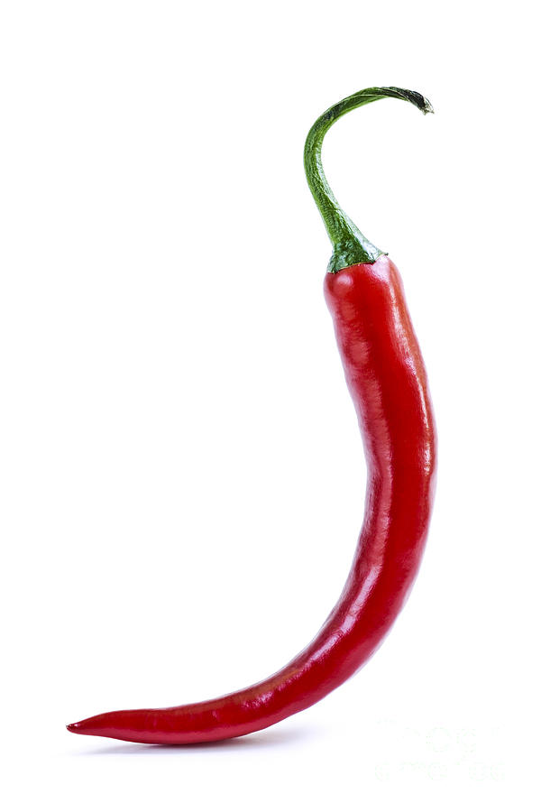 Vegetable Photograph - Red hot chili pepper by Elena Elisseeva
