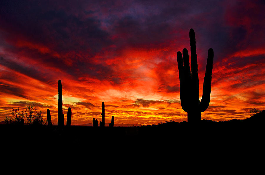 Red Hot Desert Skies Photograph by Saija Lehtonen