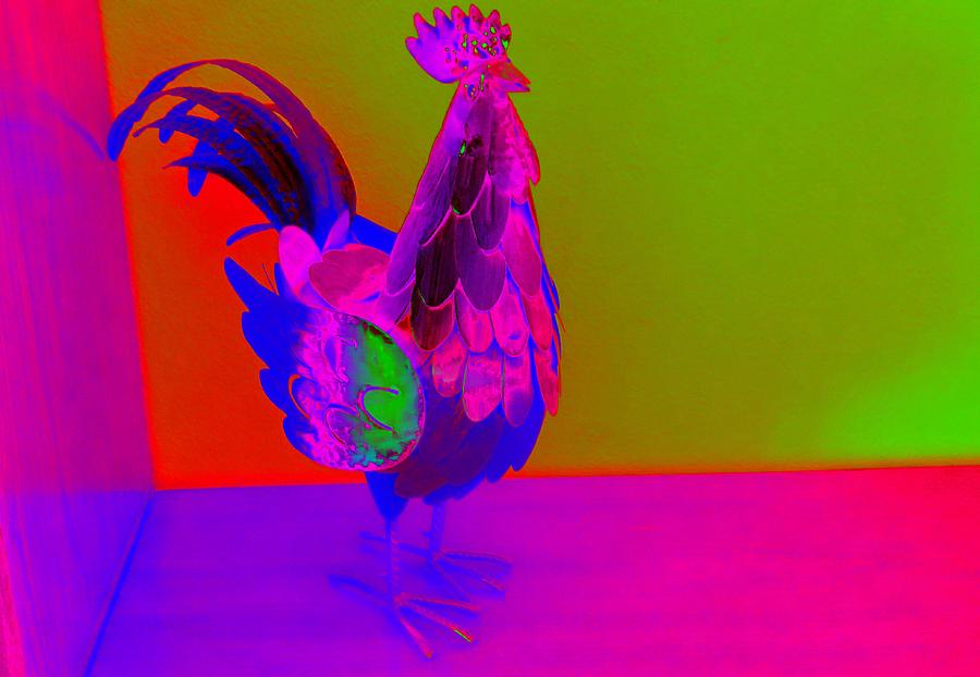 Red Hot Rooster Photograph by Florene Welebny