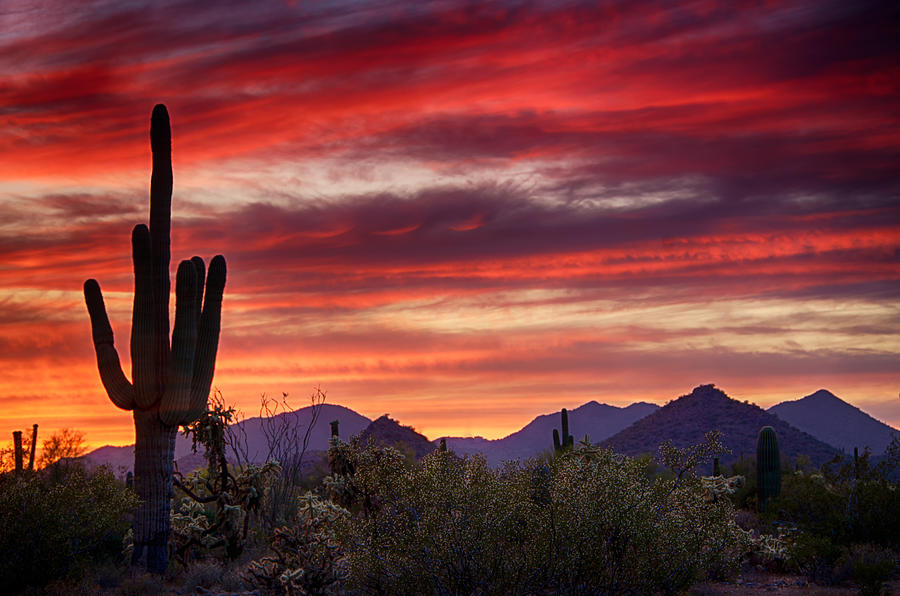 Sunset Photograph - Red Hot Sonoran Sunset by Saija Lehtonen