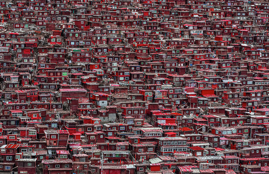 Red Houses Photograph by Ali Al-jazeri