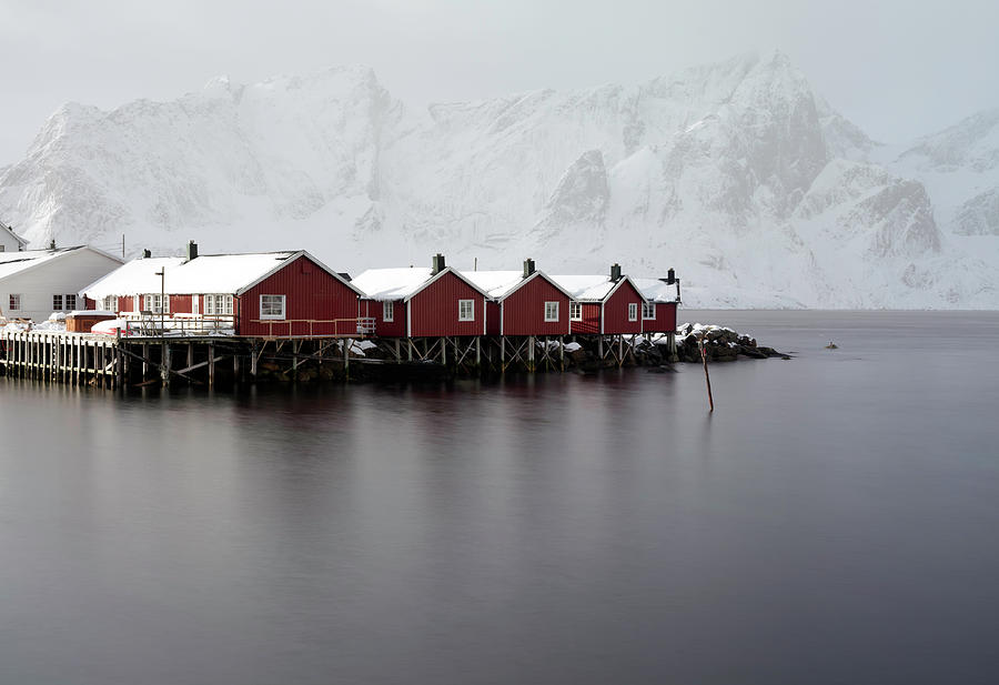 Red Houses In Lofoten Islands Norway Photograph by Justinreznick