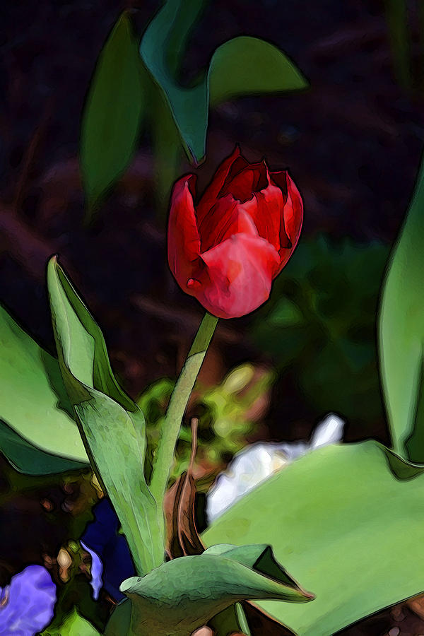 Flower Photograph - Red in The Afternoon by Joe Bledsoe