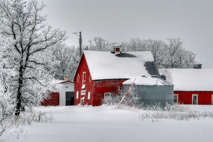 Red in White Photograph by Larry Trupp