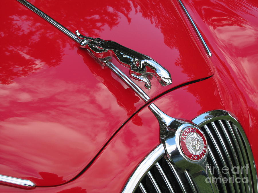 Red Jaguar 3.8 Photograph by Neil Zimmerman