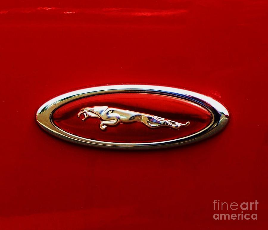 Jaguar Logo On A Red Background Photograph by Marcus Dagan - Fine Art  America