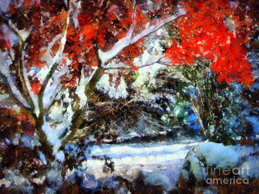 Winter Photograph - Red Japanese Maple in snow by Janine Riley